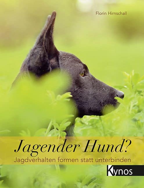 Buchcover Florin Hirnschall, Jagender Hund? Jagdverhalten formen statt unterbinden, Kynos