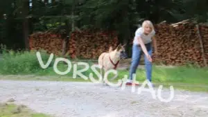 Umorientierungssignal, Kegeln - Hey-Fiffi.com