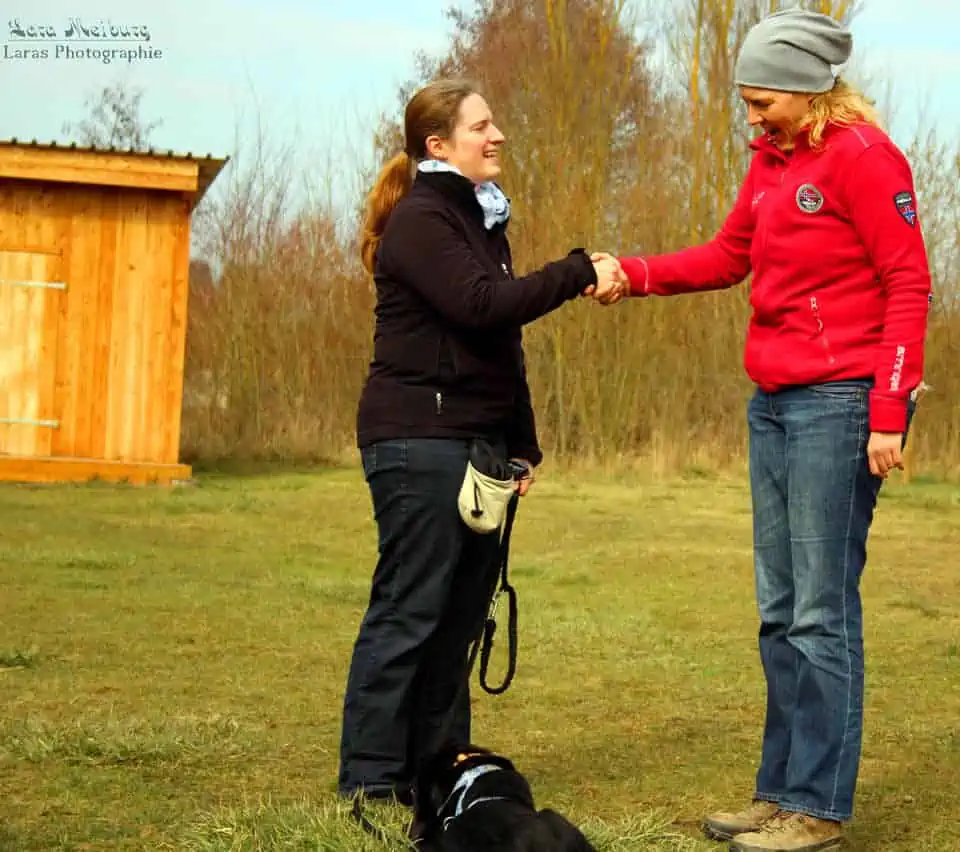 die richtige Hundeschule