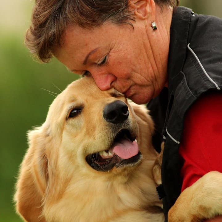 Ein glücklicher Hund - Hey-Fiffi.com, Foto: Lara Meiburg Photographie
