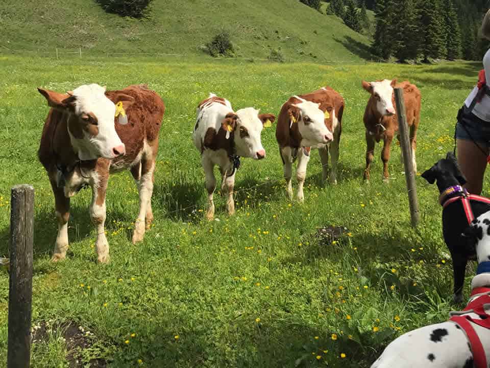 Bergwandern noch zu beachten Bergwandern noch zu beachten