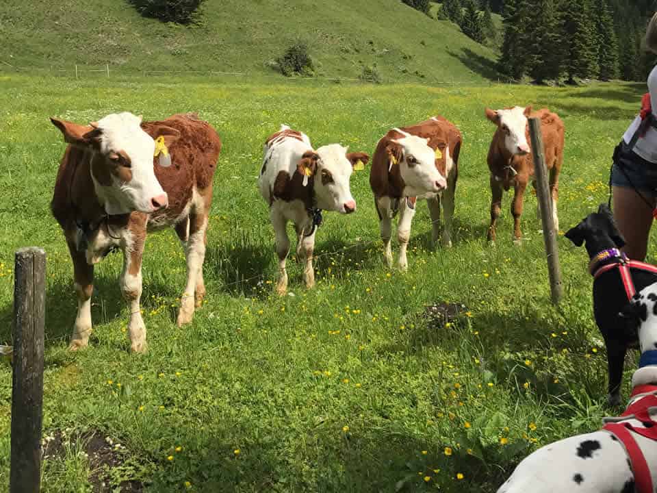 Bergwandern noch zu beachten