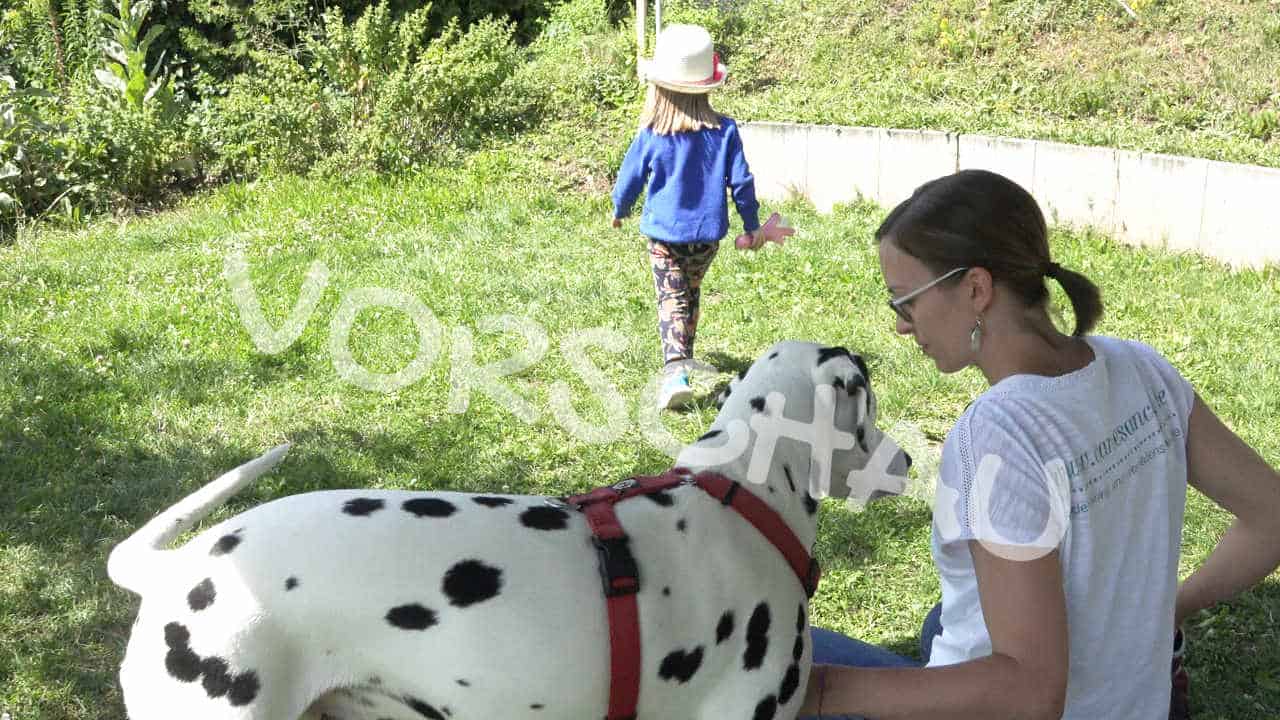 Beschäftigung für Kind und Hund (Suchspiel)