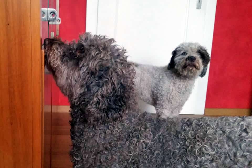 Trick und Co 1 Trick und Co 1
