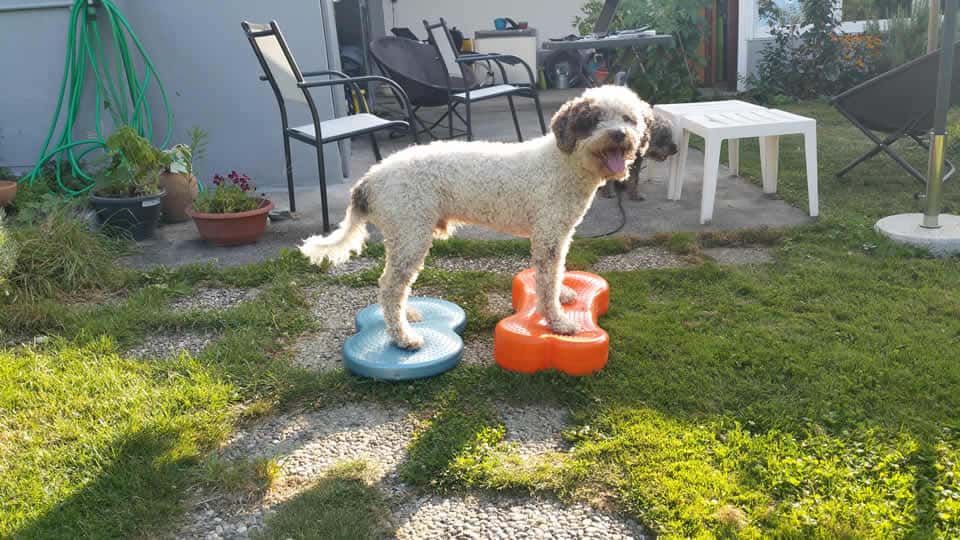 Trick und Co Trick und Co