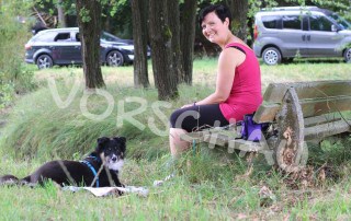 Entspannt beim Spaziergang - Ruheinseln für Hunde - Hey-Fiff.com