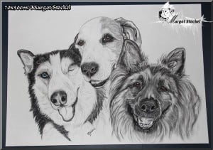 Nuka, Mara und Jumbo