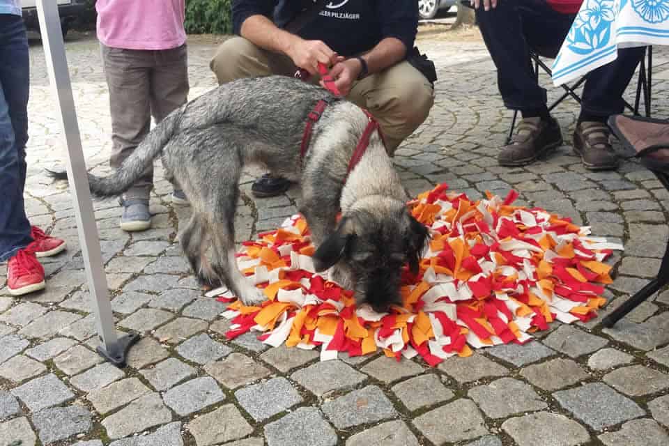 Schnueffeln Schnueffeln