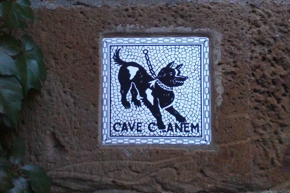Cave Canem Cave Canem