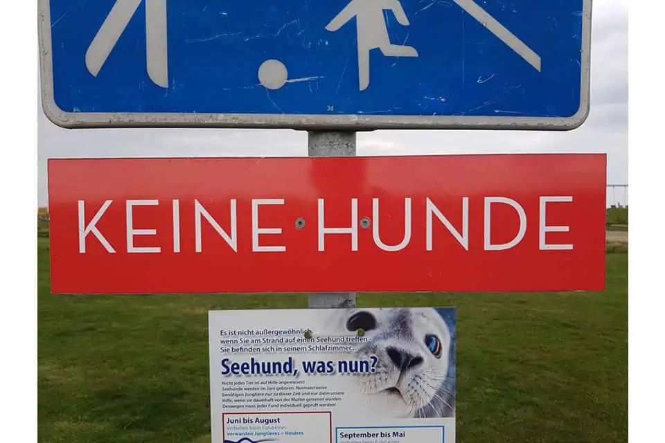 Ah und Oh Ah und Oh