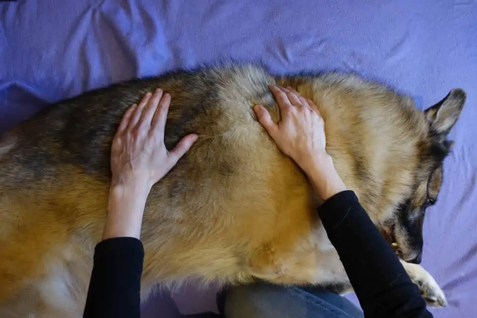 Massage 1 Massage 1