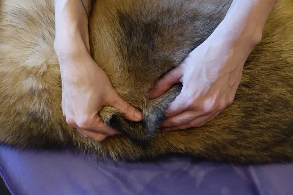 Massage 7 Massage 7