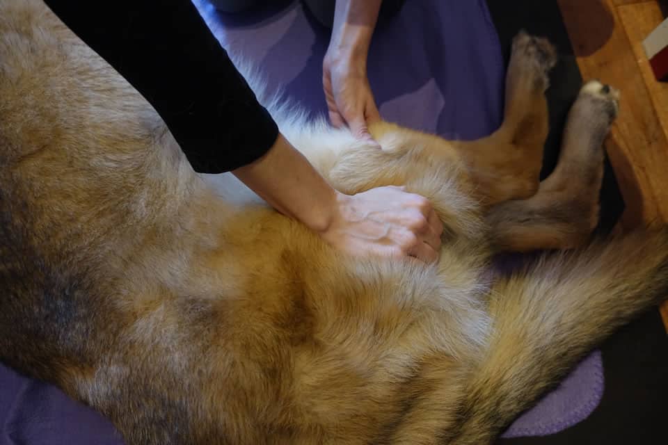 Massage 6 Massage 8