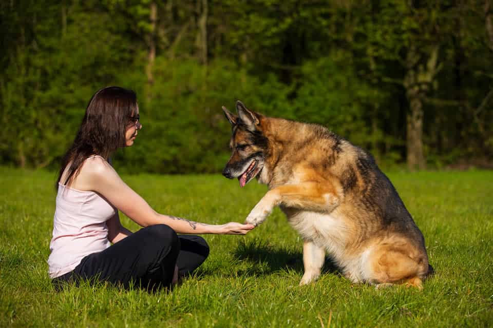 Tricktraining 1