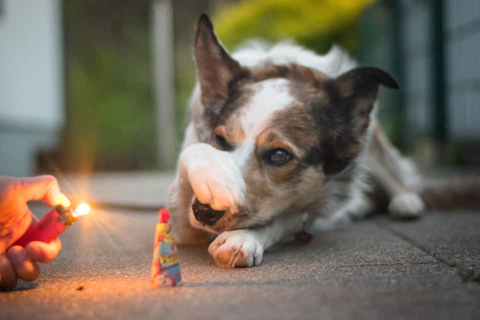 Silvester 1