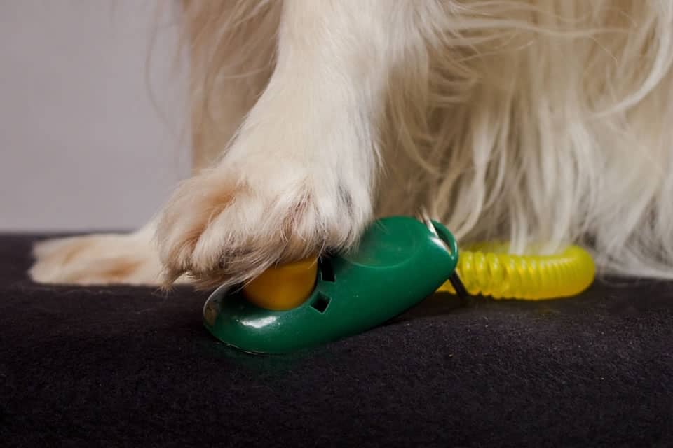Clicker Clicker