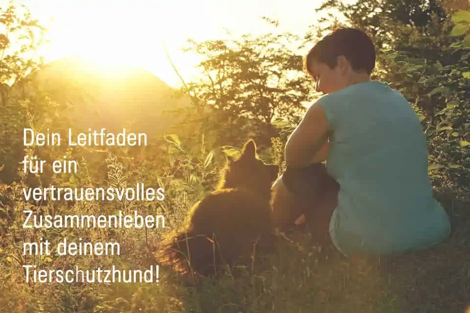 Susanne Bretschneider: Tierschutzhund-Leitfaden