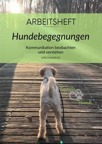 Christiane Jacobs, Arbeitsheft Hundebegnungen