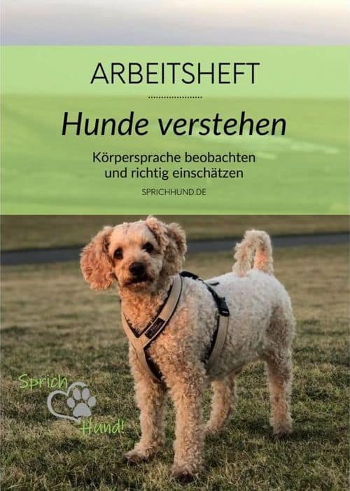 Christiane Jacobs, Arbeitsheft Hunde verstehen