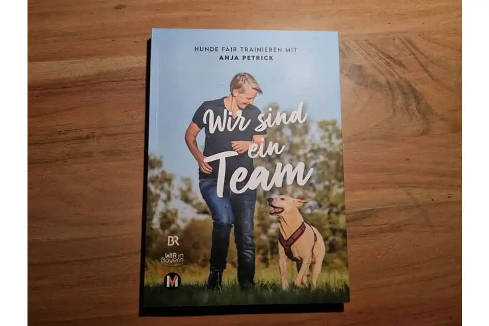 Buchrezension: „Wir sind ein Team“ von Anja Petrick