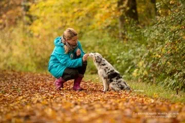 Einfach mal  mitnehmen? – Stadttraining mit Hund