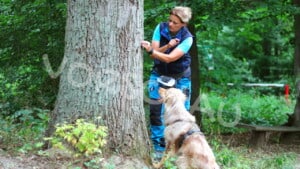 Frau versteckt Leckerli für Hund an Baumstamm - Hey-Fiffi.com