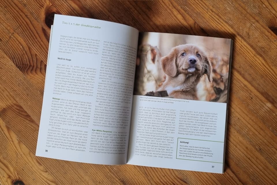 Buchbesprechung: Sprich Hund - Körpersprache verstehen, Missverständnisse vermeiden, Bild 2