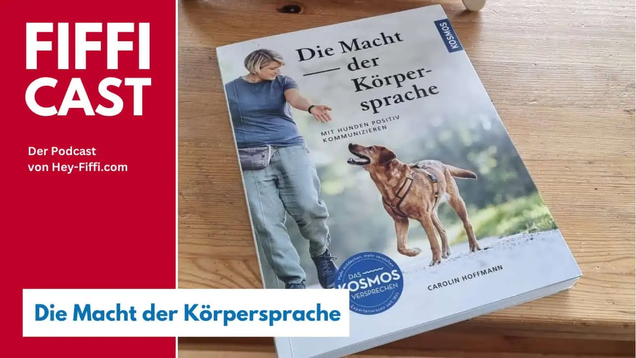 Die Macht der Körpersprache