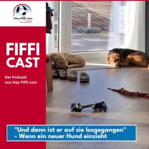 Zwei Hunde im Wohnzimmer, Foto: Katharina Eichen - Hey-Fiffi.com