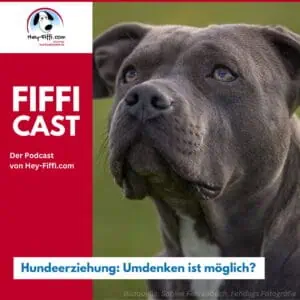 Podcast-Titelbild: Hund, Foto Sabine Fehrenbach (2J5A0513) - Hey-Fiffi.com