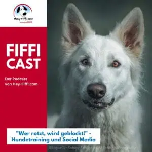 Hund, Foto: Sabine Fehrenbach (2J5A9146) - Hey-Fiffi.com