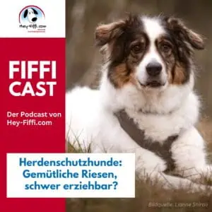 Hund, Foto: Lianne Shirali - Hey-Fiffi.com