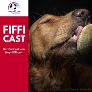 Schleckender Hund, Foto Sabine Fehrenbach (2J5A1982) - Hey-Fiffi.com